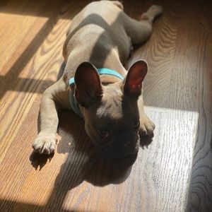 Meet your Posher, Monica